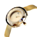 Luna Mesh – Minimalist Glass Dial Watch - Jewellar