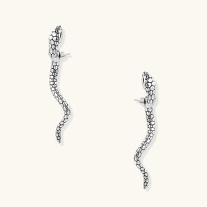 Pair of silver snake-shaped earrings on a white background