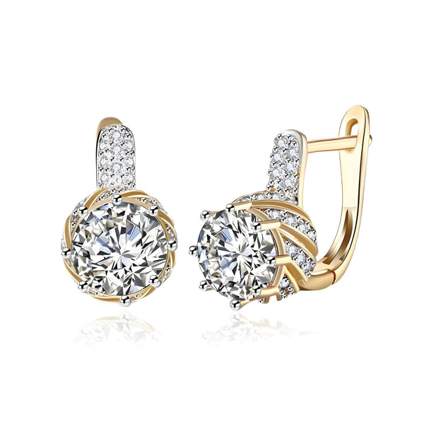 Aurora Loop Earrings
