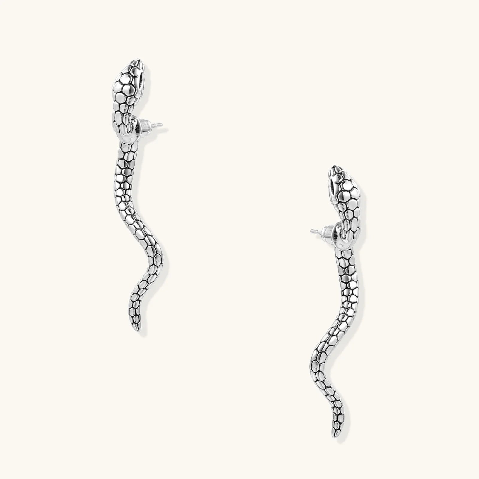 Pair of silver snake-shaped earrings on a white background